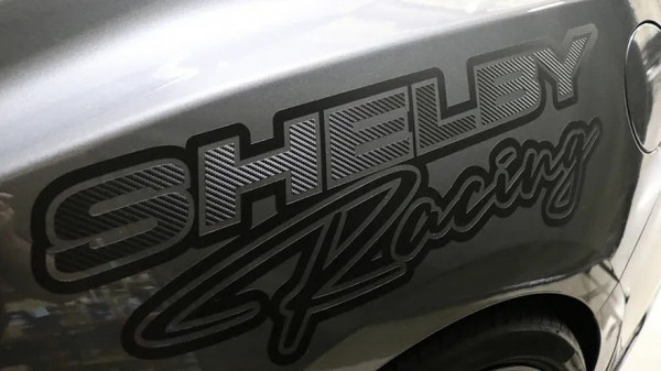 Shelby GT350/TA: ещё один ориентированный на трек спорткар на базе Ford Mustang Shelby GT350/TA: ещё один ориентированный на трек спорткар на базе Ford Mustang